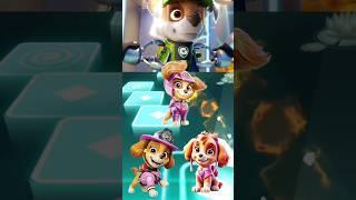 Rayder  Rocky  Sky  Marshall DJ WILDHOP Paw Patrol  #coffindance #tilesgop #pawpatrol