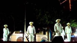 SON JAROCHO EL PAJARO CARPINTERO (Valet folklorico son de Veracruz)