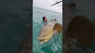 BIG BAIT = BIG FISH