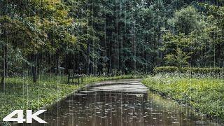 Comfortable Rest with Soft Rain at Rainy Day - Beautiful Sounds of Rain ASMR