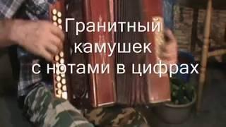 Гранитный камушек с нотами в цифрах