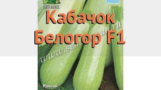 Кабачок обыкновенный Белогор F1 (belogor f1)  обзор: как сажать, семена кабачка Белогор F1