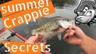 Summer crappie fishing secrets - How to catch crappie with minnows