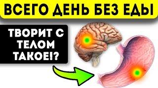 Всего 1 день голода сделает с организмом чудо… Что будет, если голодать 24 часа?