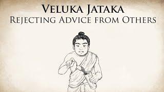 Rejecting Advice from Others | Veluka Jataka |  Animated Buddhist Stories