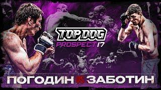 TOP DOG: PROSPECT 17, Tula | Valera VS Pogodin