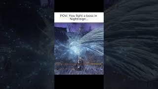 Bullying this raid boss in Nightreign...