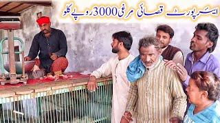 Airport Qasaye/Murghi3000de|Helmat|Ch botta|1122 New Funny Comedy video 2023 by Atv hd