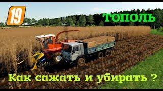 Farming simulator 2019 как сажать,убирать и для чего нам в игре ТОПОЛЬ ???