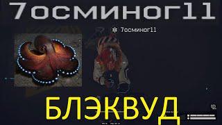 7осминог11 БЛЭКВУД (БАГИ WARFACE)