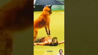 Dog giving CPR during training #youtubeshorts #k9trainer #youtubevideo #shortsvideo #shorts #video