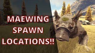 ARK Fjordur - Best Maewing spawn locations!