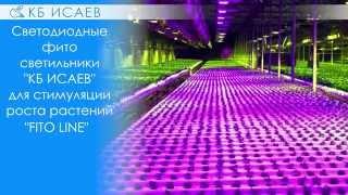 Светодиодные фито светильники "FITO LINE" производства "КБ ИСАЕВ"