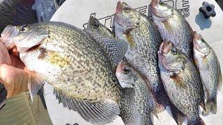 Catch Crappie For Dinner! Simple Way To Locate and Catch Summer Crappie!