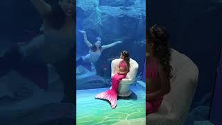 Sheeda vaar karenege #edit #cute #love #trending #share #subscribe #shorts #trending #tiktok #shorts