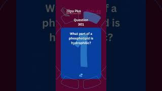 Biology flash card series | Part 301 #biology  #zilpaplus #study #flashstudy #flashcards