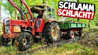 BRENNHOLZ aus der VERSENKUNG! | Wie soll das gehen? | IHC 633 im Schlamm | Mr. Moto