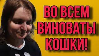 ГАГОСОВЫ ПОСКАНДАЛИЛИ. VREDINA LIFE.  ОБЗОР.