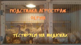 Подстилка АгроСтраж Ферма - осушитель и защита от эктопаразитов. Как это работает???