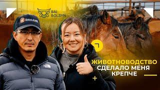 БИЗНЕС НА СКОТОВОДСТВЕ: КАК ВЫРАЩИВАЮТ КРС И МРС В КХ БЕРЕКЕ?