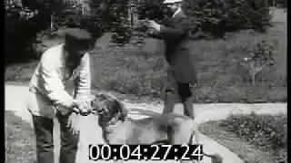 1916-1917-Russian Empire