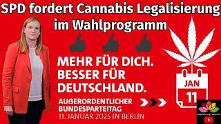 SPD Position zur Cannabis Legalisierung im Bundestagswahlprogramm - Cannabisgesetz Bekenntnis / Info