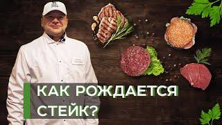 Как перерабатывают говядину? | Skott Smeat | Latifundist