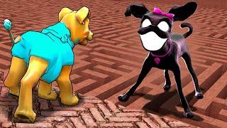 Can INFECTED DOG find me in a MAZE?! (Garry's Mod Sandbox)