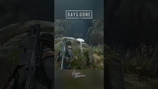 Орда из Хорс-Лейк • DAYS GONE