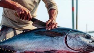 ‎ Tuna Cleaning Stream – Real Market Life