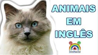 Animais em Inglês - Aprender nome de Animais em Ingles