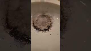 Best drain cleaner in my opinion #viral #plumbing #howto