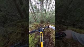 This fresh mtb trail is steep and loose!