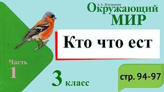 Кто что ест. Окружающий мир. 3 класс, 1 часть. Учебник А. Плешаков стр. 94-97