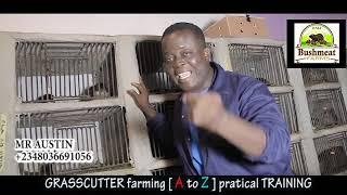 GRASSCUTTER FARMING (A to Z) practical TRAINING.