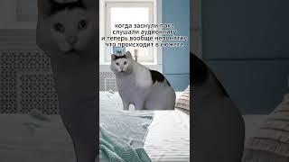 #POV когда заснули во время прослушивания аудиокниги  #мем #kotneponyal  #аудиокнига
