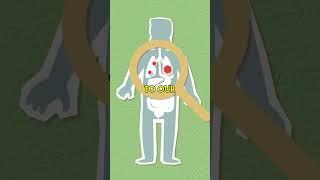 Breathe Your Way to Weight Loss: The Astonishing Power of Lung Excretion