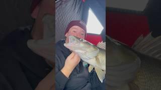 First time fisherman catches a MASSIVE WALLEYE! #fishing #icefishing #walleye