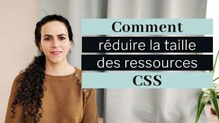 Réduire la taille des ressources CSS PageSpeed Insights | Tutoriel