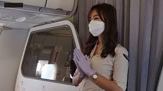 Gloved Female Flight Attendants