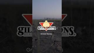 Grower Stories | Gills Onions