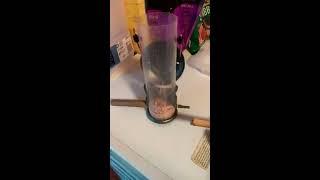 Bird tube feeder.