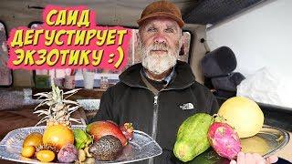 HOMELESS GRANDPHEAD TASTES EXOTIC FRUITS