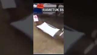 Rudal Monyet ini mengeluarkan suara aneh|| Bikin shock!!! #shorts #viral