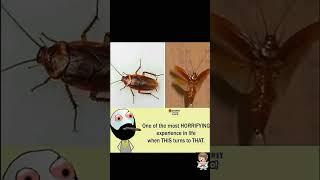 memes adda guru || [13] | #shorts