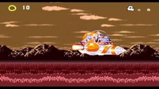 Sonic 3 & Knuckles Hard Bosses Edition 2 (V400.0) Marble Garden Zone Act 2 (Knuckles)