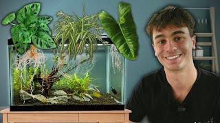 These 5 Easy House Plants Filter Your Aquarium!