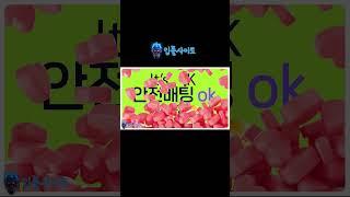 【입플이벤트】 입플사이트 보증업체 " 안전놀이터 스마일벳 "