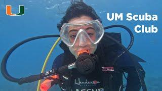 Exploring South Florida's Seas With UM Scuba Club