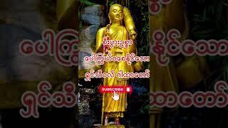တရားတော်များ နာယူပူဇော်နိုင်ရန်အတွက် Subscribe လုပ်ထားနိုင်ပါတယ်။#buddha #dhamma #motivation